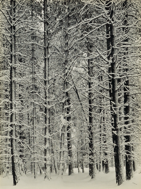 Ansel Adams print