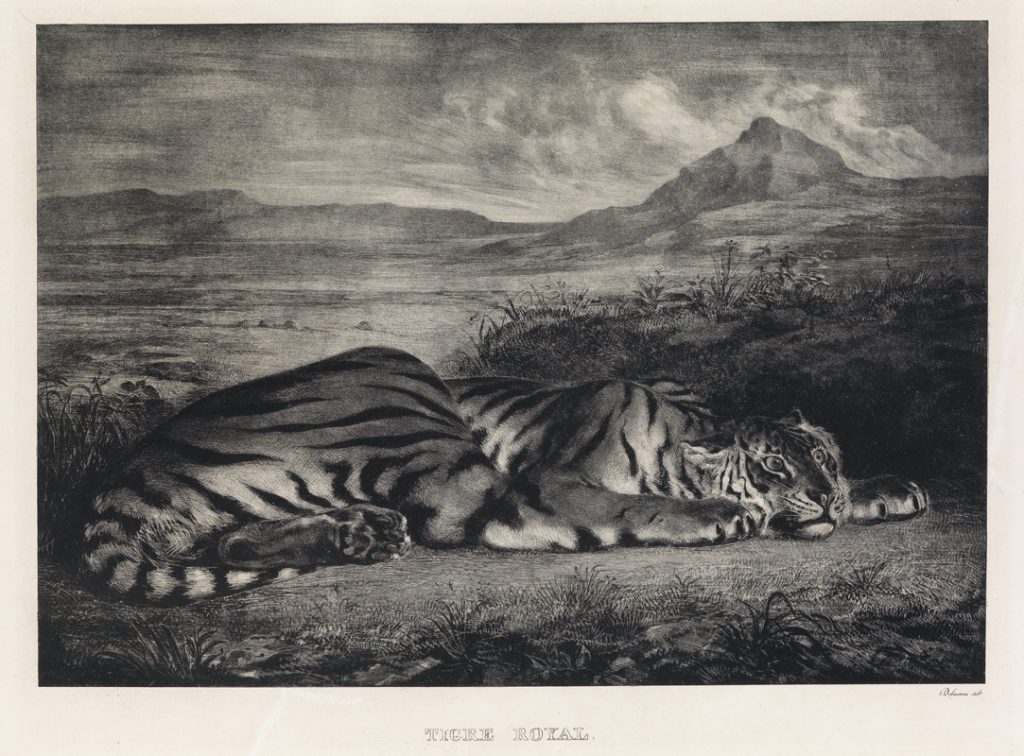 Eugène Delacroix, Tigre Royal