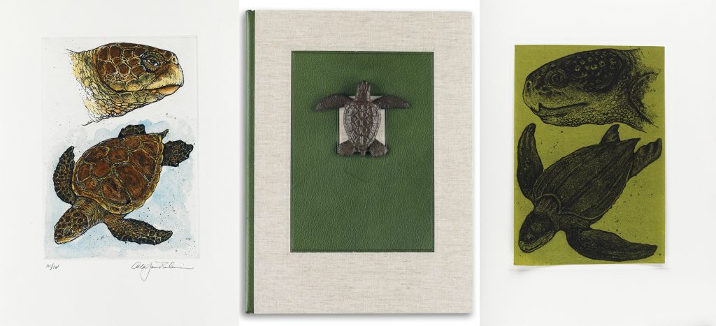 Cheloniidae: Sea Turtles by Alan James Robinson. Image includes a watercolor of a sea turtle, the cover with a small sculpture of a sea turtle, and a woodcut of a sea turtle.