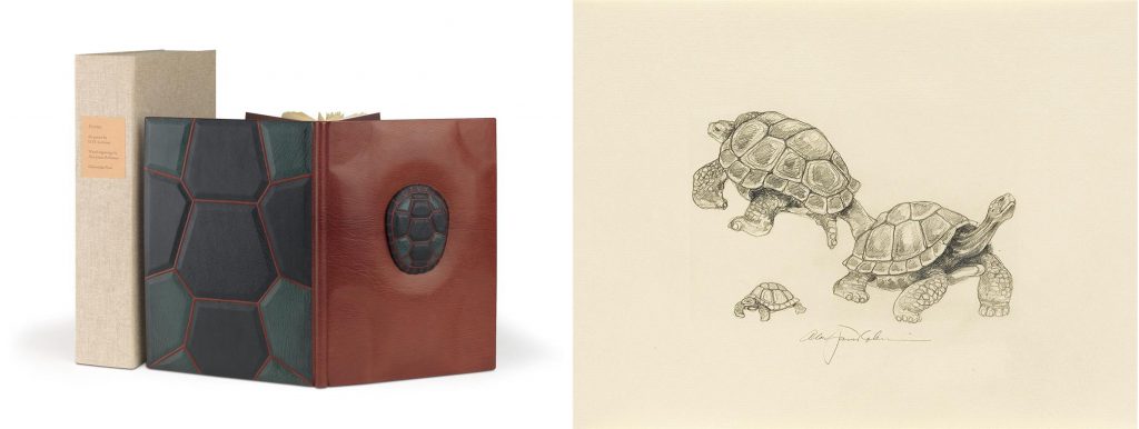 Tortoises by D. H. Lawrence with illustrations by Alan James Robinson, published by the Cheloniidae Press. Image of the binding with features a small turtle shell sculpture as well as the texture of a turtle shell on the back, and a sketch of three turtles.