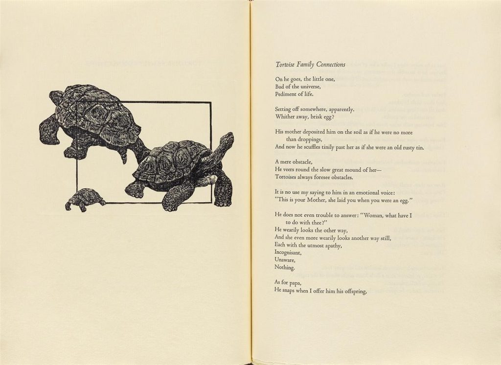 Two page spread featuring an engraving of three turtles by Alan James Robinson on the left and the poem "Tortoise Family Connections" by D.H. Lawrence on the right. Published by the Cheloniidae Press