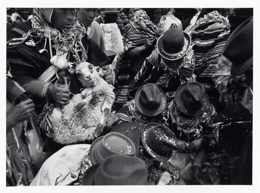 Black and white images of Guatemalan people and a sheep by Flor Garduño. 