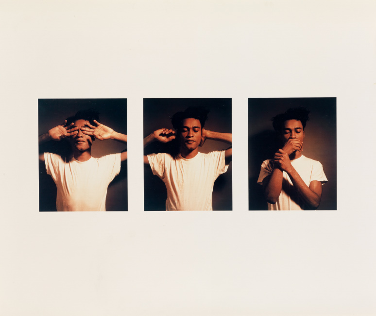 Carrie Mae Weems, Untitled (See No Evil, Hear No Evil, Speak No Evil), three chromogenic prints, 1995.