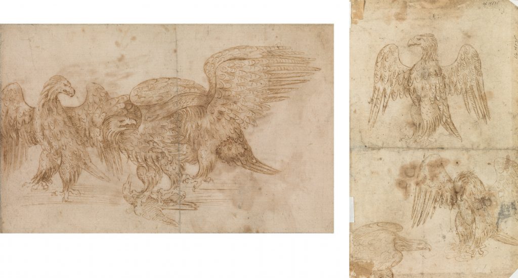 Italian School, early sixteenth century, Studies of Eagles, pen, ink and wash. $4,000 to $6,000.