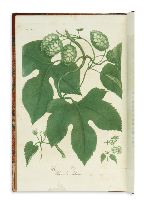 Jacob Bigelow, American Medical Botany, cited as the first botanical work published in America, Boston, 1817-20.