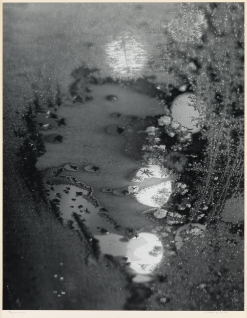 Minor White, Beginnings, Rochester, New York (frosted window), 1952. 